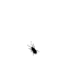 http://www.psychoactif.org/forum/img/members/9466/itsybitsy.gif