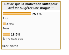 Résultatsondagemotivation.png