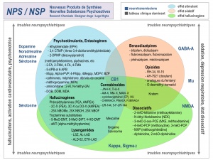 NPS-neurotransmetteurs.jpg