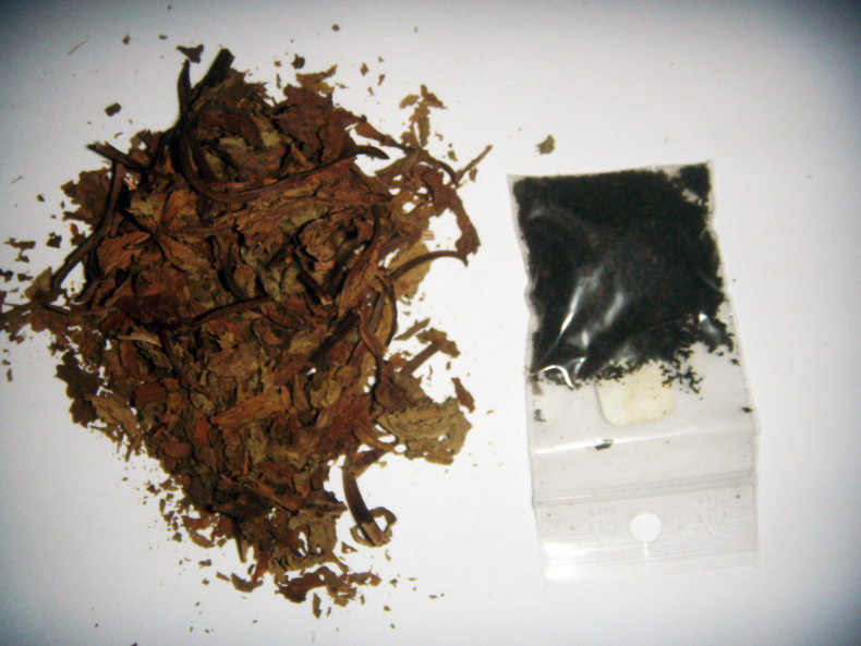 /forum/img/members/2/Salvia-5X.jpg