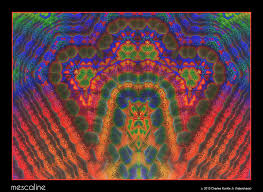 /forum/uploads/images/1407/1407479729.jpg