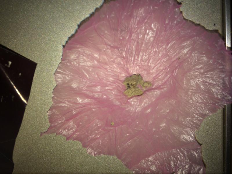 /forum/uploads/images/1439/1439119907.jpg