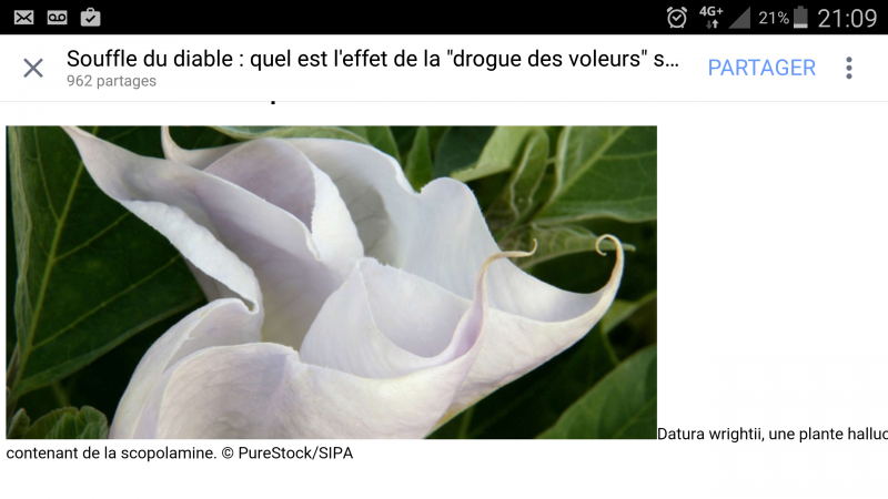 /forum/uploads/images/1444/1444677050.png
