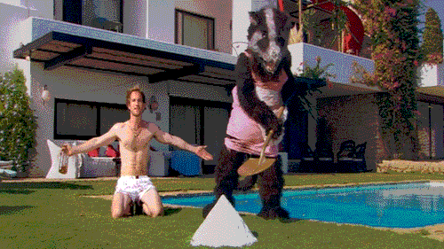 /forum/uploads/images/1450/1450054193.gif