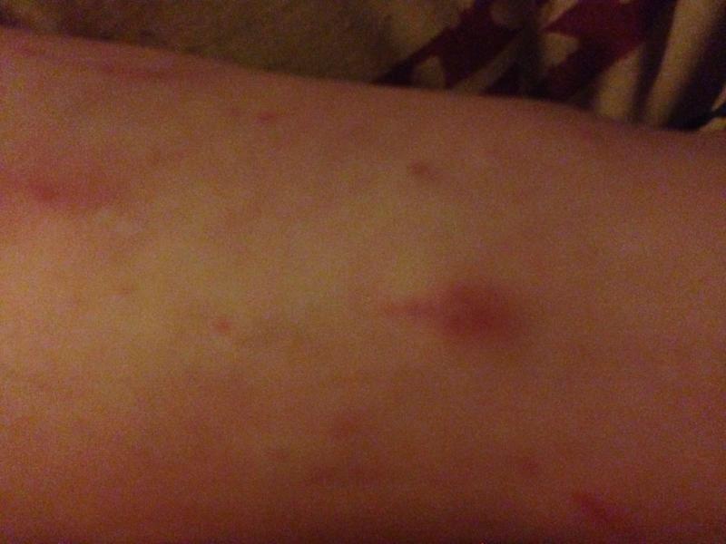 /forum/uploads/images/1468/1468869672.jpg