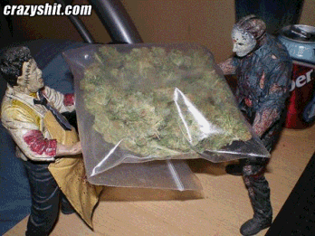 /forum/uploads/images/1493/1493057979.gif