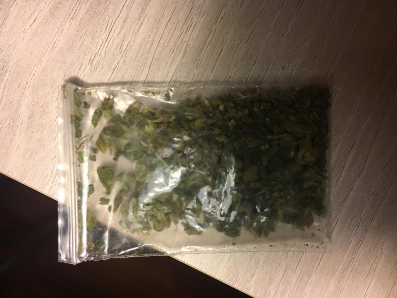 Difference Entre La Beuh Et Le Chite Premier achat de beuh / PsychoACTIF