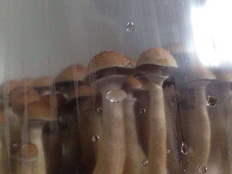 /forum/uploads/images/1508/1508505189.jpg