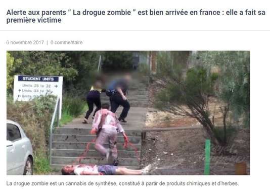Mdpv Et Flakka Cannibalisme Les Intox De La Drogue Zombie Psychoactif