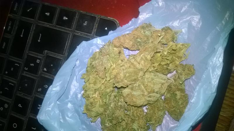 /forum/uploads/images/1512/1512500570.jpg