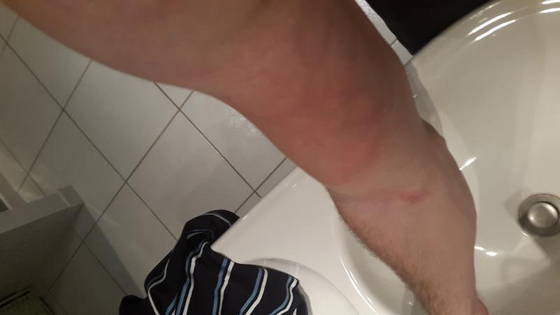 /forum/uploads/images/1516/1516479621.jpg