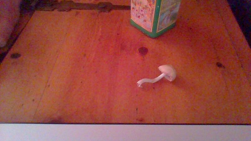 /forum/uploads/images/1525/1525361261.jpg
