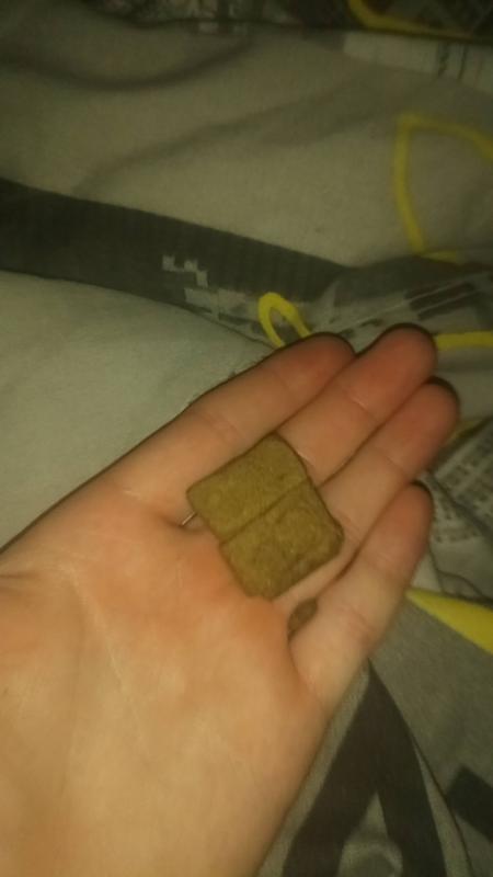 /forum/uploads/images/1526/1526202217.jpg