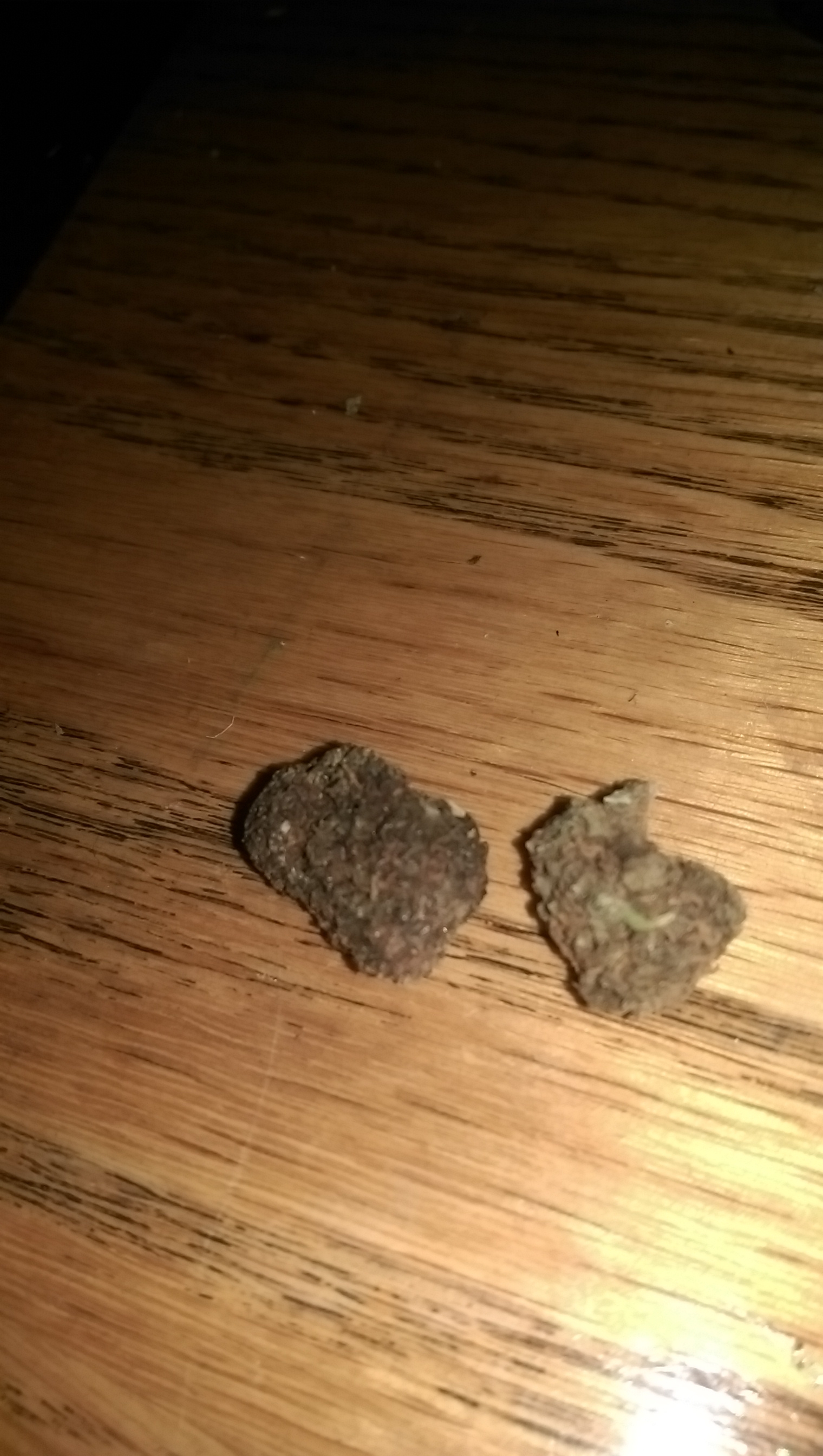 /forum/uploads/images/1536/imag0109.jpg