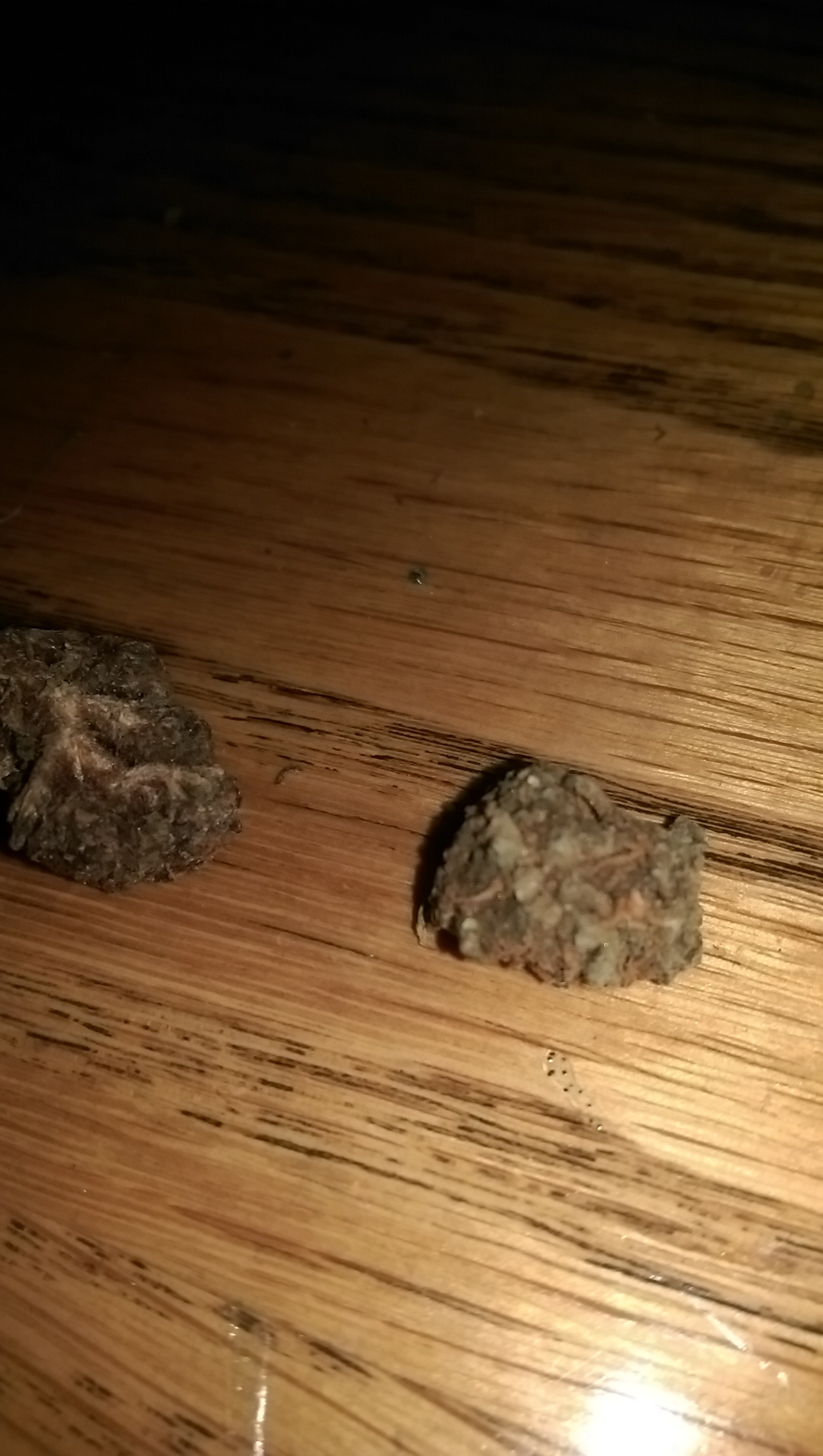 /forum/uploads/images/1536/imag0112.jpg
