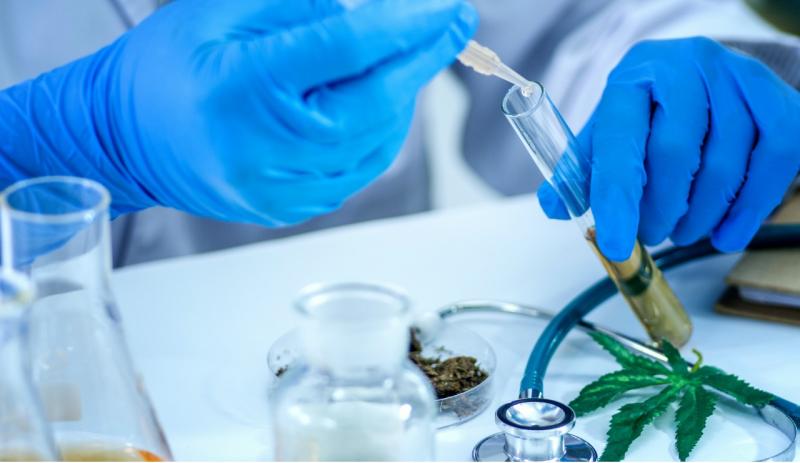 /forum/uploads/images/1543/1920_181126-cbd-banner-556314.jpg