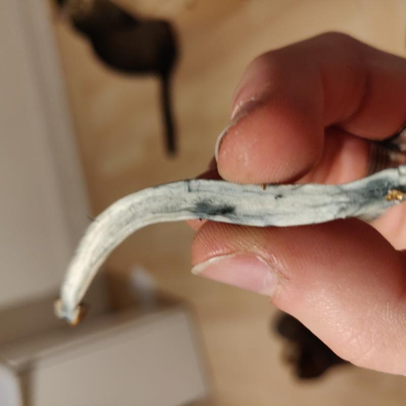 Ça c est linterieurl dund des chamois Ça c est linterieurl dund des chamois