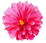 /forum/uploads/images/1543/flower_power3---copie.png