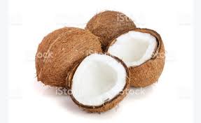 coconut coconut