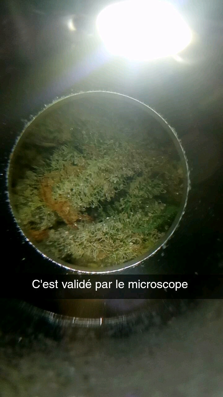 /forum/uploads/images/1547/snapchat-412491103.jpg