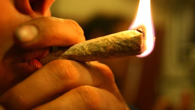 /forum/uploads/images/1549/hdp-cannabis-etude-consommation-sante-canada-le.jpg