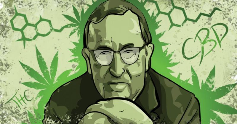 Illustration de Roger Adams par Ross Marinaro