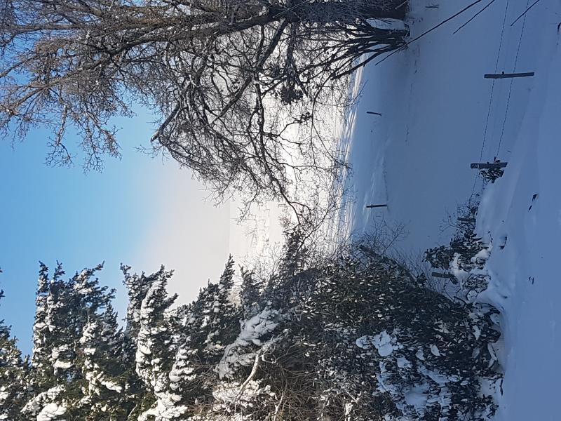 Neige Neige