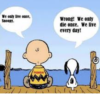/forum/uploads/images/1551/snoopy.png