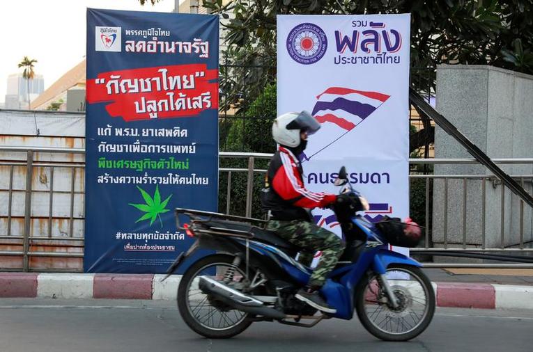 /forum/uploads/images/1552/thai_cannabis.jpg