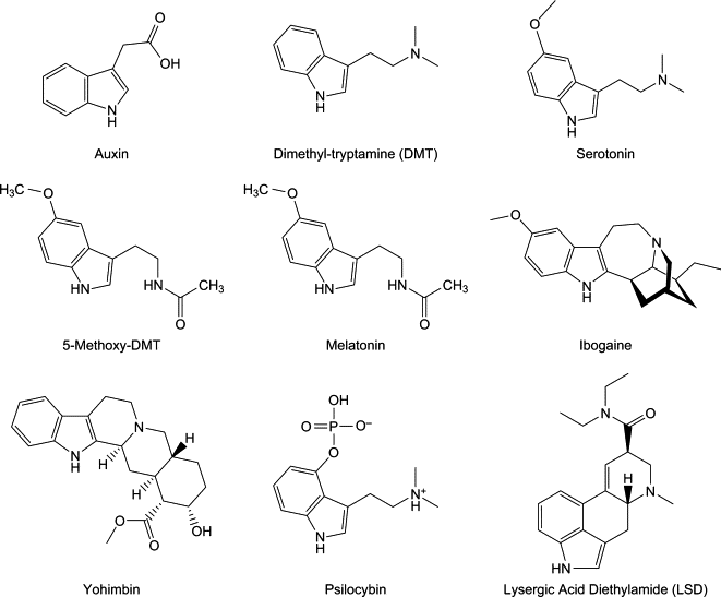 /forum/uploads/images/1553/molecules.gif