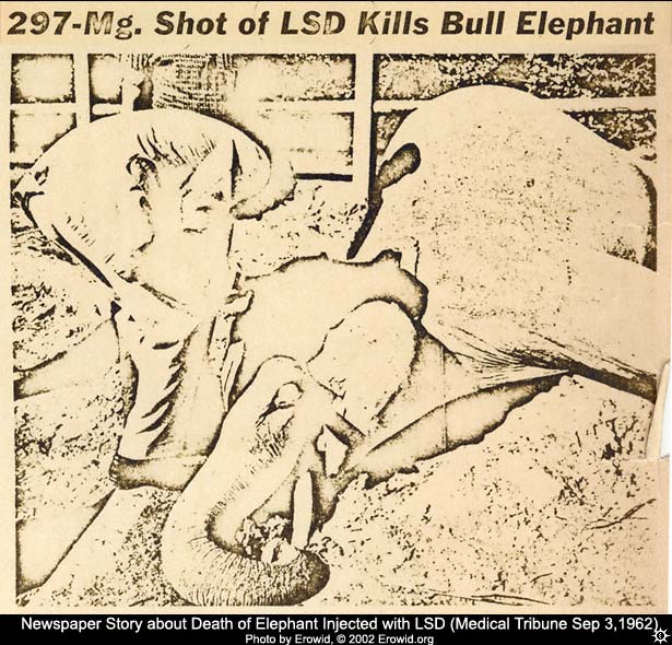 /forum/uploads/images/1556/lsd_death_elephant1.jpg