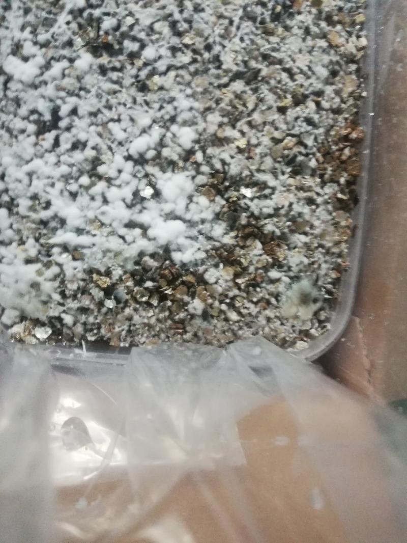 growkit