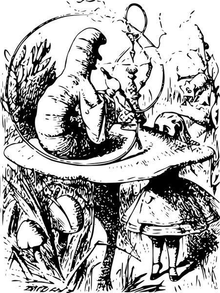 /forum/uploads/images/1558/6alice-caterpillar-mushroom.png