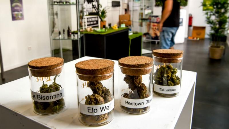 /forum/uploads/images/1559/01062019-cannabis-france-therapeutique-sante-th.jpg