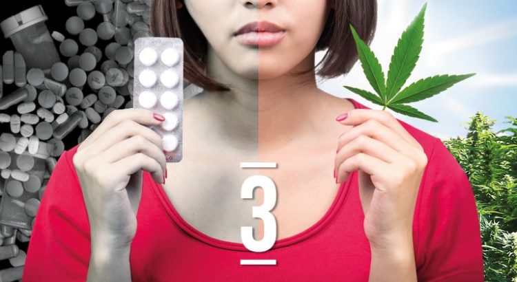 cannabis, opioides