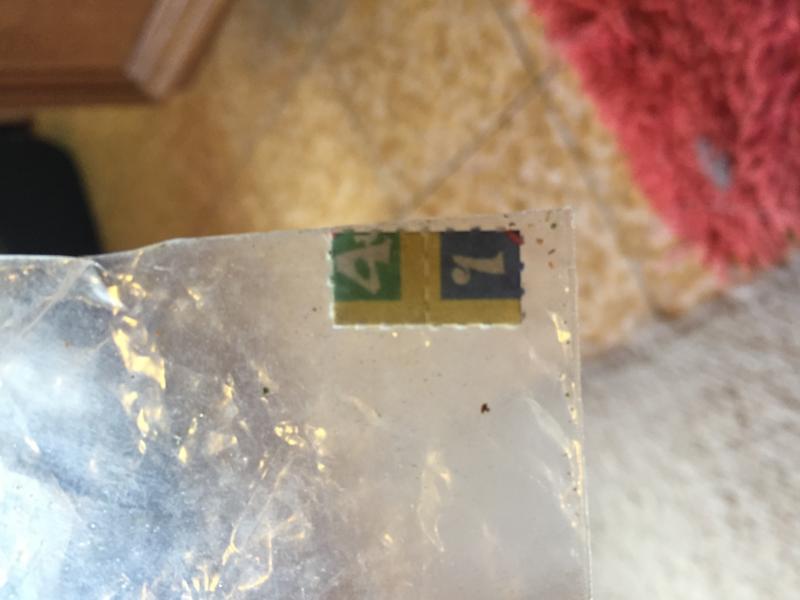 Mon LSD
