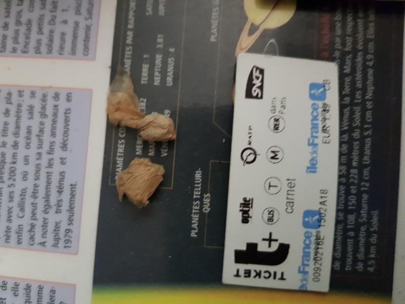 2 paras de 150mg de mdma 84% cristal white à 20€ les 4