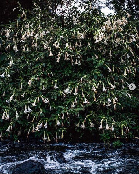 La nature nous aura tous! (photo from instagram) La nature nous aura tous! (photo from instagram)