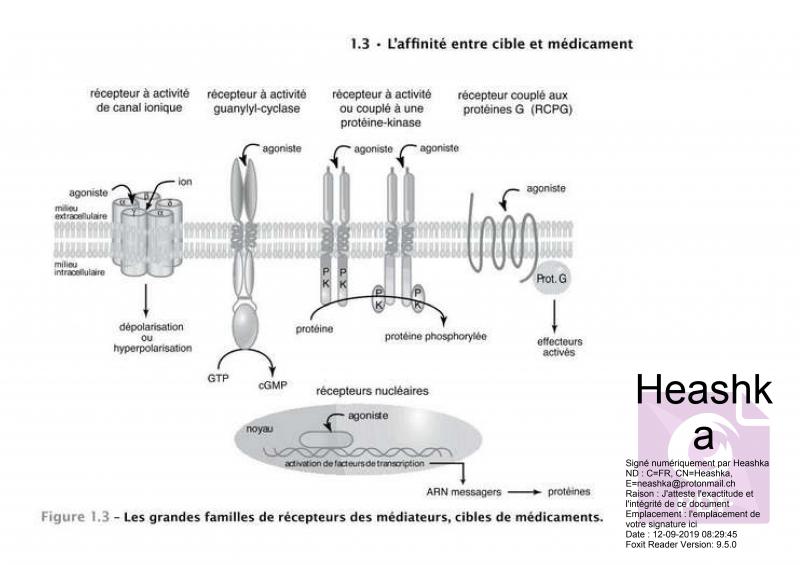 /forum/uploads/images/1568/cible_recepteur_medicament.jpg