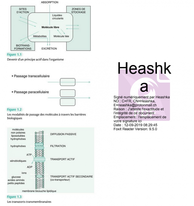 /forum/uploads/images/1568/membranes_transferts.png