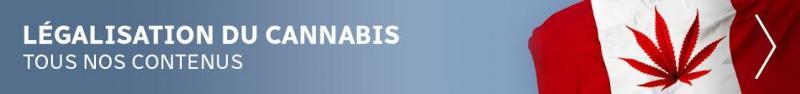 /forum/uploads/images/1572/bandeau-marijuana-legalisation-2.jpg