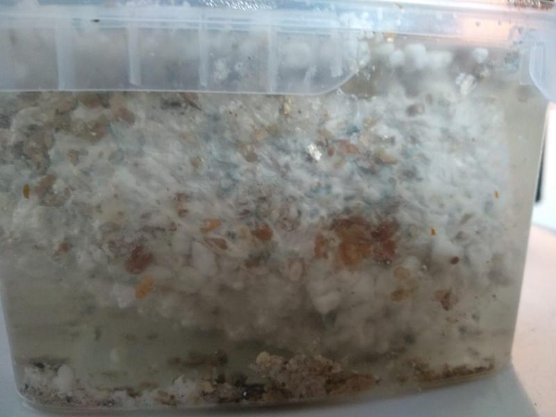 taches bleues (photo prise pendant dunk, y a de l eau)