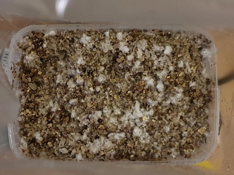 La photo que j ai oublié