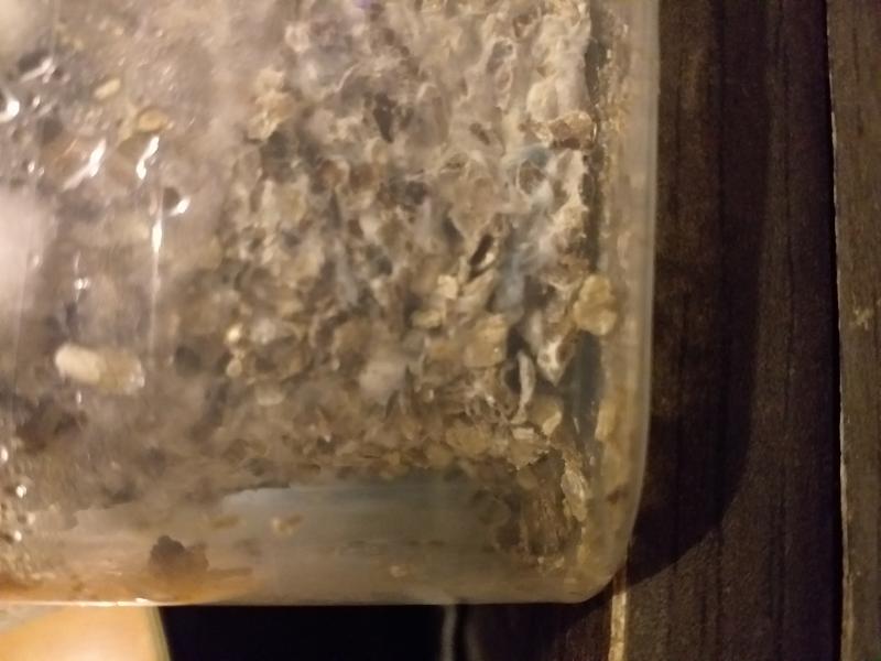 Retract et tache bleu bas gauche