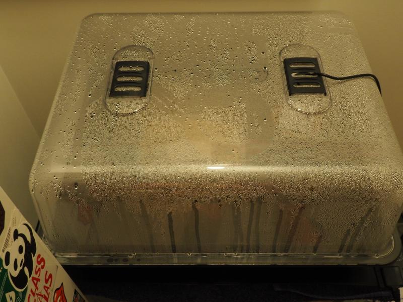 température: 24° humidité: 99%!!! température: 24° humidité: 99%!!!