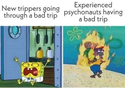 Bad Trip Bad Trip