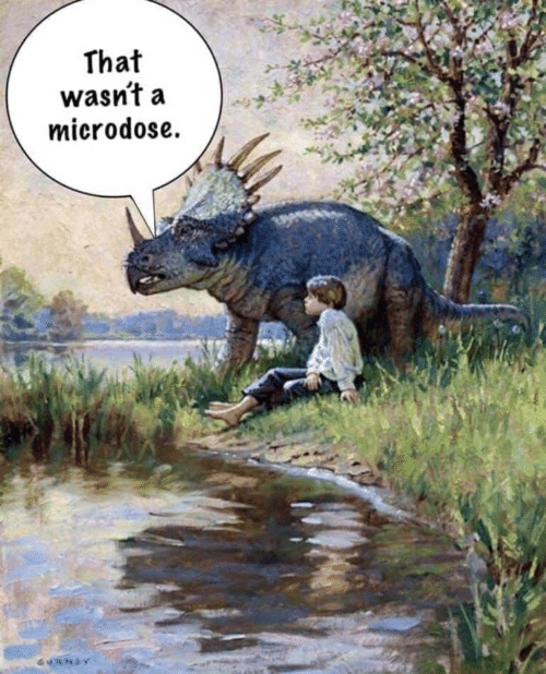 that wasn t a microdose... that wasn t a microdose...