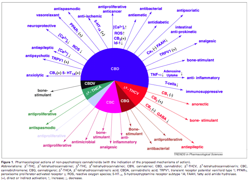 /forum/uploads/images/1579/cannabinoids-effects.png