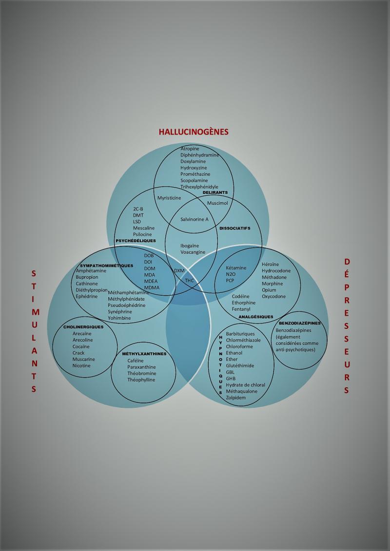 Venn nouveau