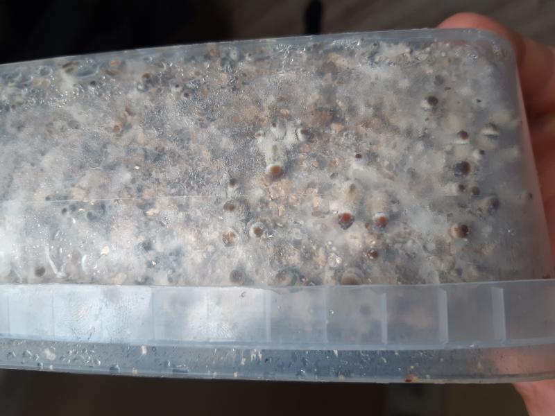 sur les cotés avec une petites tâche verte là ou ça touche la parois